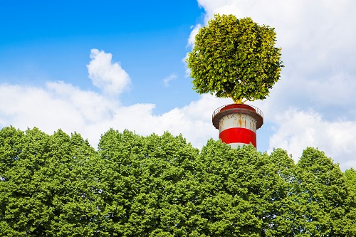 trees
