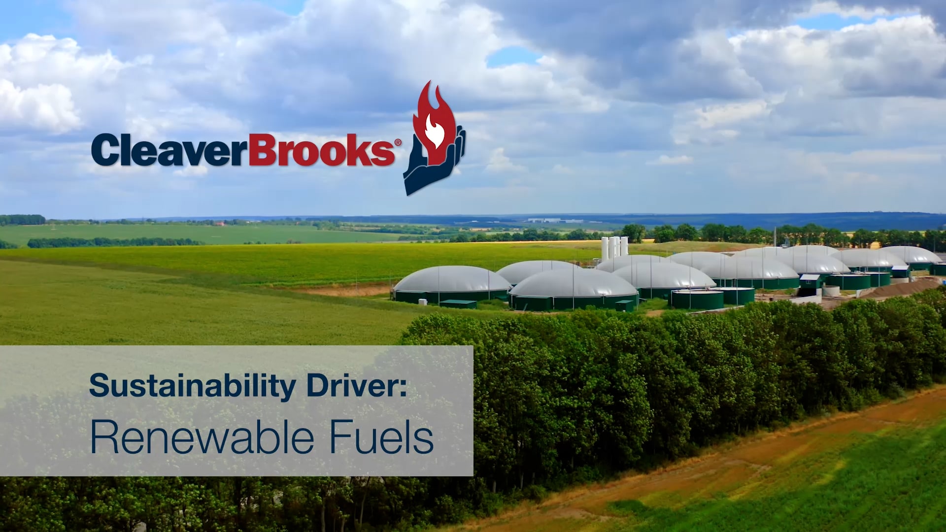 Renewable Fuels