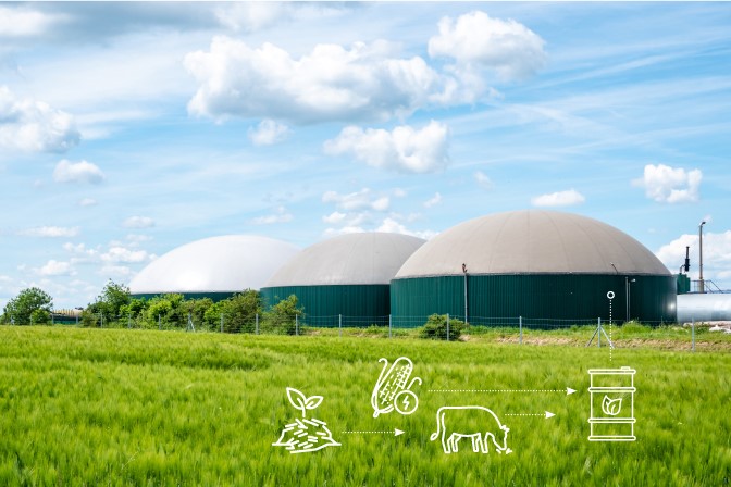 renewable fuels